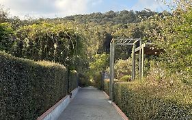 Woodcutters Forest Cottages